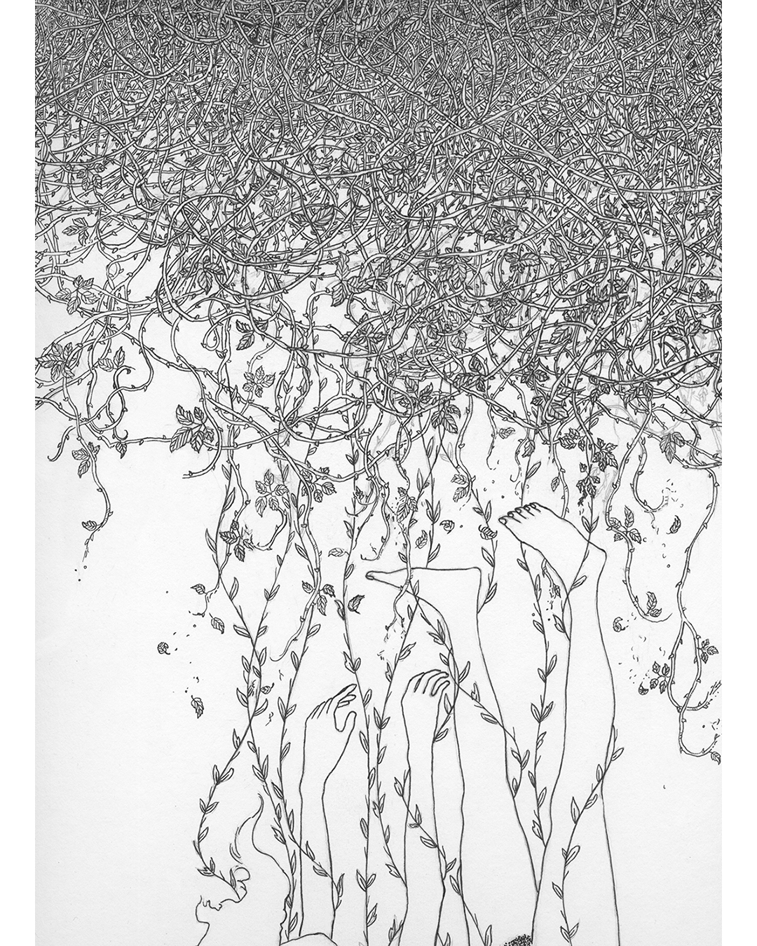 dessin encre de chine simon bezzi batani