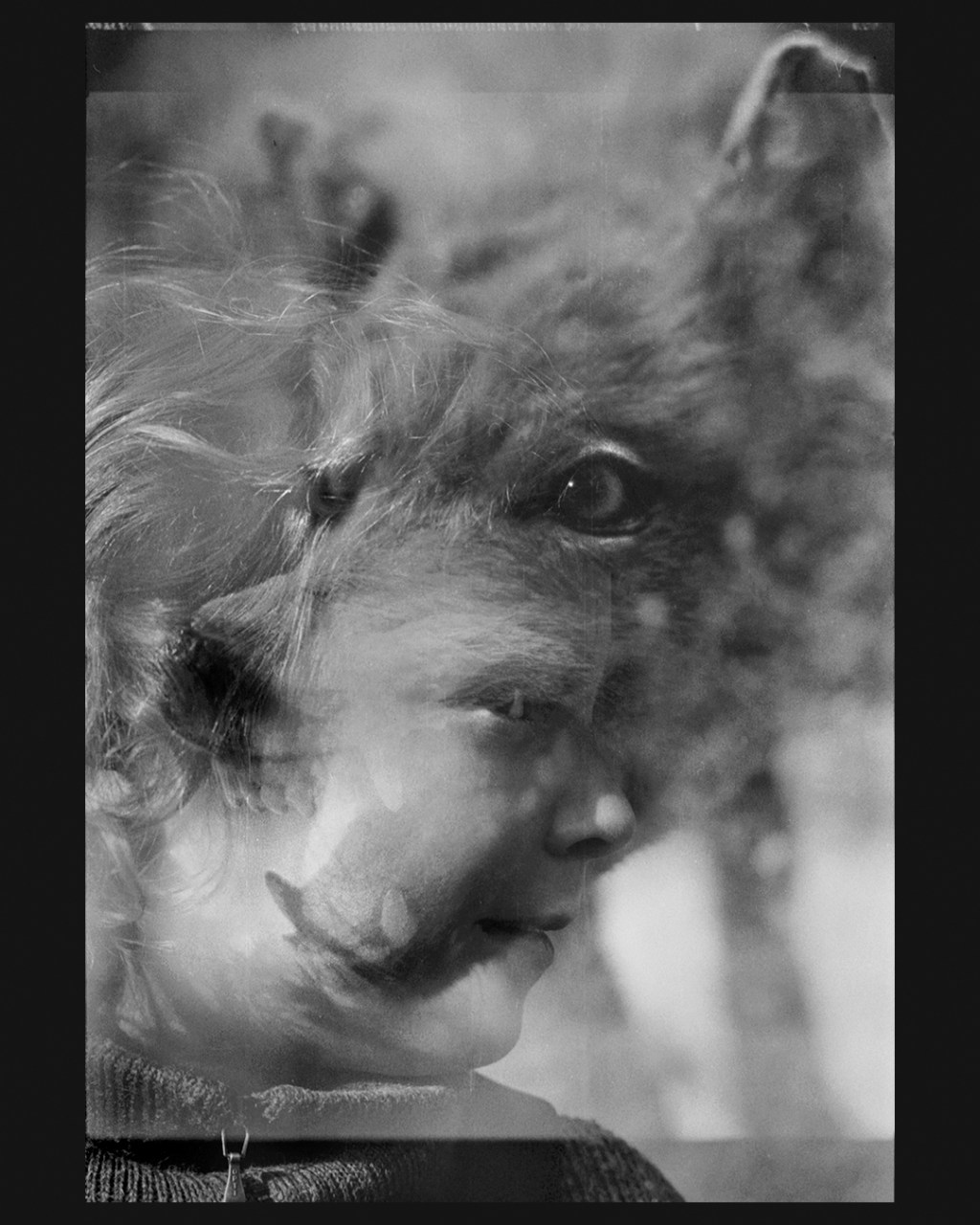 simon bezzi batani photographie argentique analog lycanthropie lycanthropy